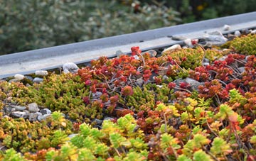the cost of Runnington green roof installation