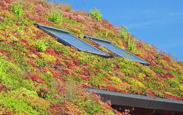 Runnington living roof systems