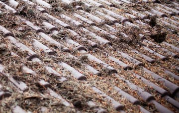 Runnington roof cleaning companies